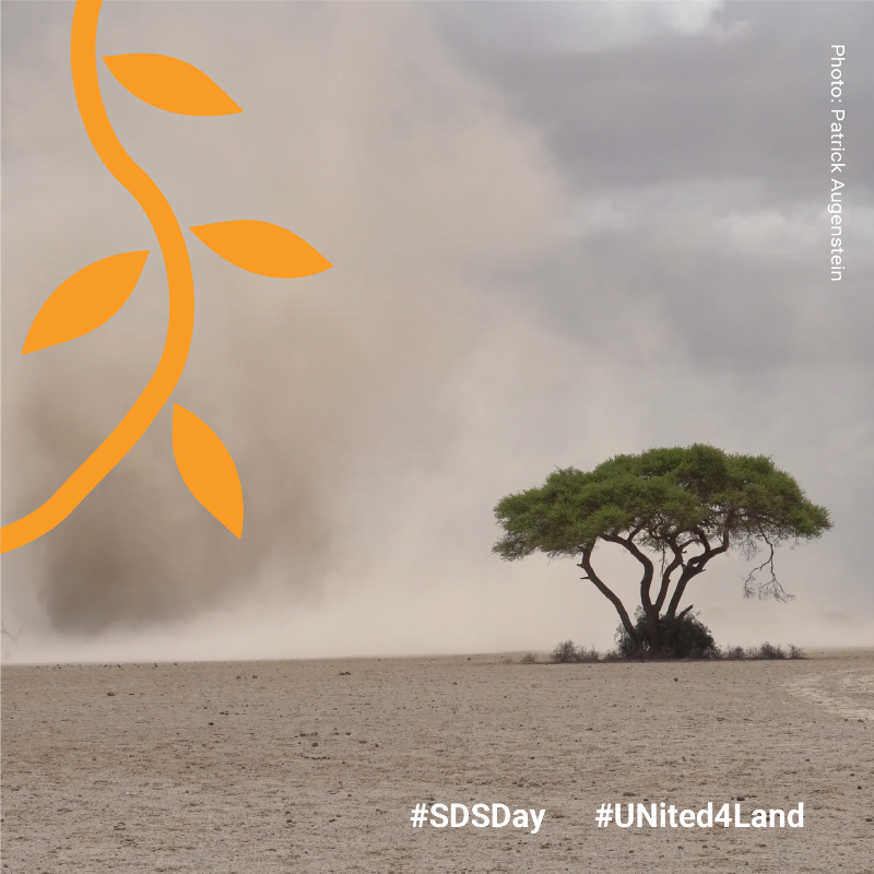 ONU_fr's tweet photo. Les tempêtes de sable &amp; de poussière sont fréquentes dans les régions arides et semi-arides, mais ont un impact global.

La #SDSDay souligne la nécessité d'une action mondiale axée sur la collaboration &amp; la coopération pour prévenir et gérer ces tempêtes.