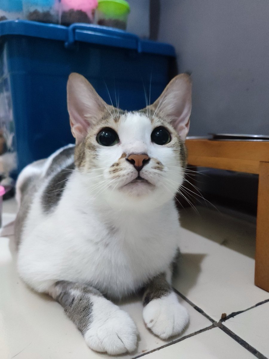 She is so dear 2 me 💕