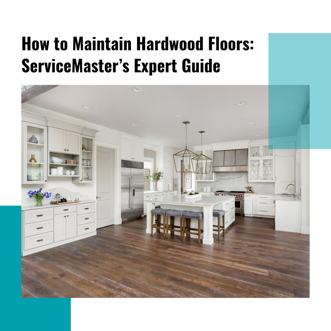 ServiceMasterTO's tweet image. How to Maintain Hardwood Floors: ServiceMaster’s Expert Guide

bit.ly/3KY51pX 

#HardwoodFloors #HomeMaintenance #FloorCare #HealthyHome #DustFree #EcoFriendly #ServiceMaster #Oakville