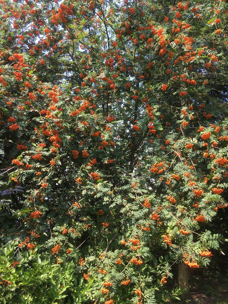 Grazyna Jasienska 🇪🇺 🇵🇱🇺🇦 tweet media