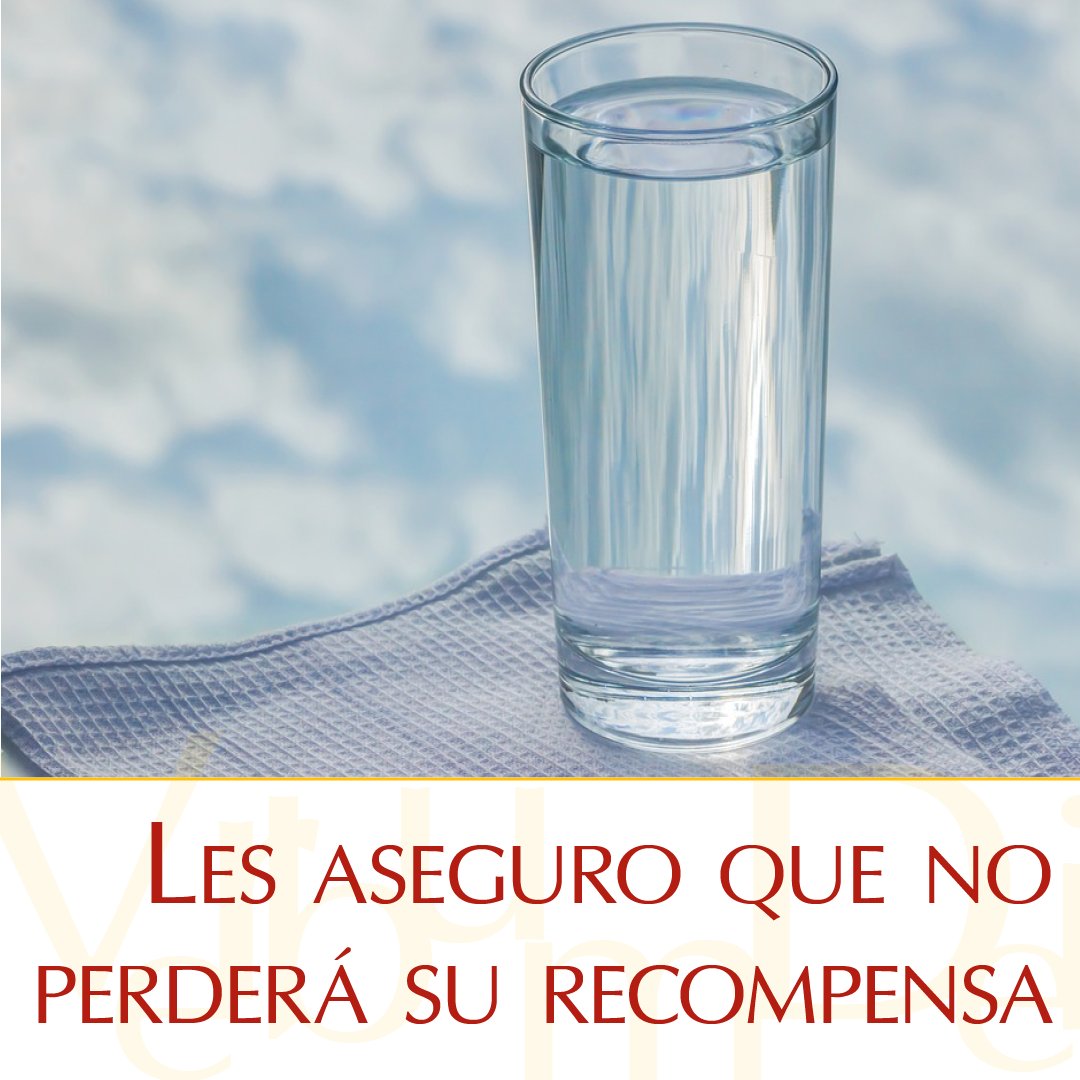 vaticannews_es's tweet photo. #15deJulio ¡Muy buenos días! En este lunes de la XV semana del Tiempo Ordinario compartimos el #EvangelioDeHoy según San Mateo, Mt 10, 34–11, 1. Puedes leerlo aquí:
https://t.co/uYLu6UCWkc https://t.co/A5x6MhhoJp