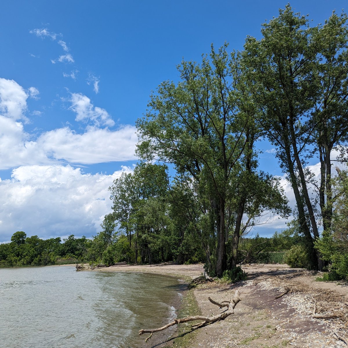 selkirkpp's tweet image. Friday July 19 is Healthy Parks Healthy People Day, which allows visitors free day use to provincial parks in Ontario! So hit the beach, explore the trail by foot or bike, or relax with a picnic - you won&apos;t have to pay the entrance fee at Selkirk PP! 😆 #HPHP