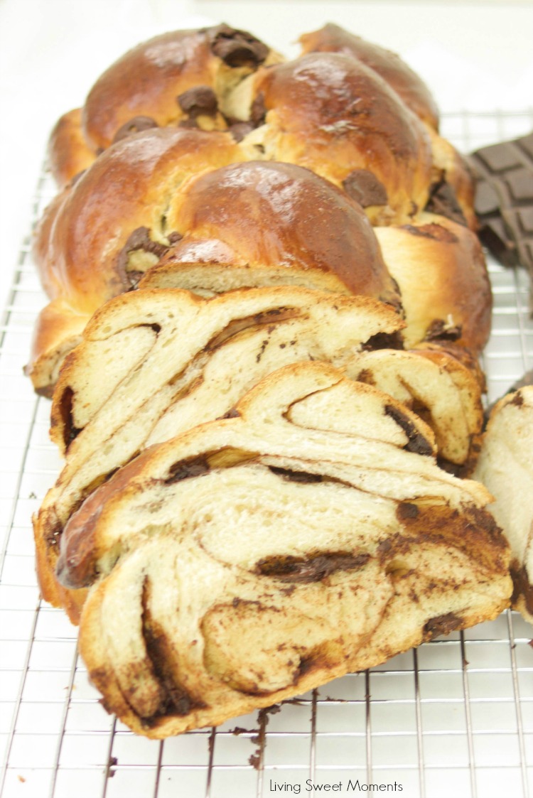 LivingSMoments's tweet photo. This incredible double Chocolate Challah recipe is a cross between a babka and a challah. Shabbat Shalom!
https://t.co/VXqmVFh7Ju via @livingsmoments
#challah #chocolatebread https://t.co/fhgVeO6EFB