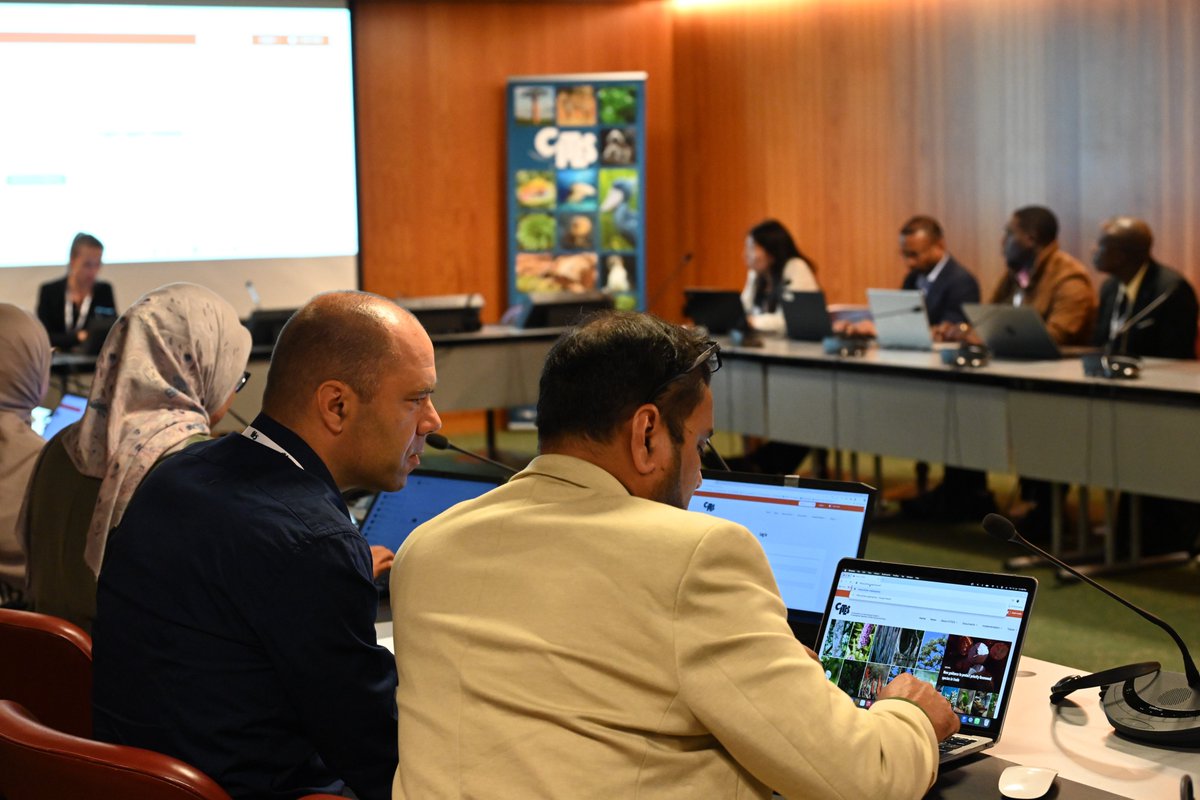 CITES's tweet image. New #CITES Export Quota Tool presented at the joint #PC27 🌱 and #AC33 🐾 session! 

This tool launching soon will allow governments to upload their nationally established export quotas directly on the CITES website. ✅

👀 More on @CITES export quotas: cites.org/eng/resources/…