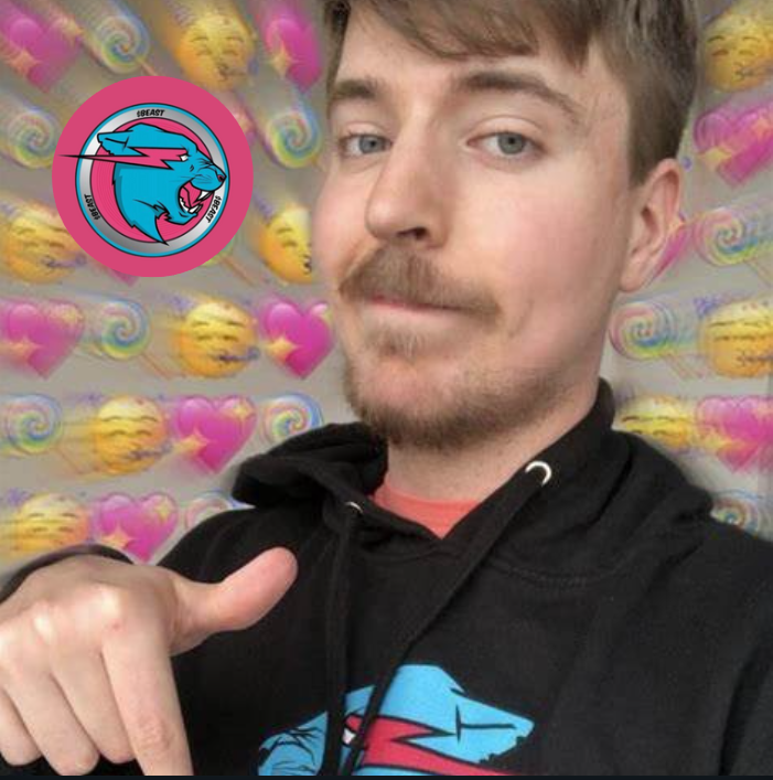 MrBeast tweet media