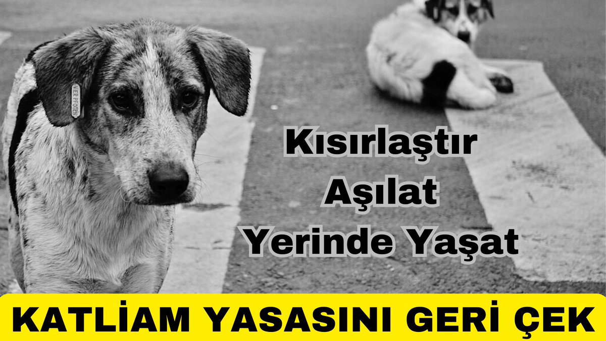 gzmdgnr's tweet photo. #SokaktayimYanindayim
#YasayiGeriCek #YasayiGeriÇek 

Devlet öldürmez,yaşatır… https://t.co/SrNXmsa0FY