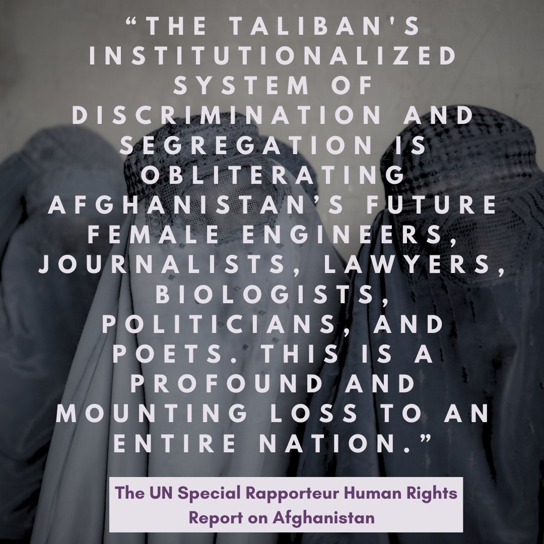 The Taliban banned women from most employment, stripping them of their livelihood and endangering the future of the labor market in Afghanistan. #stopgenderapartheid #humanrights #afghanwomen #afghanistan