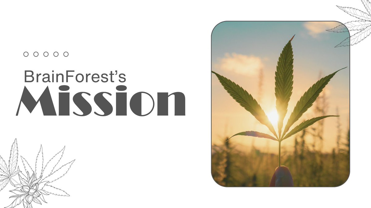 BrainForest420's tweet photo. We're so happy to celebrate our mission with YOU, our Friends &amp; StonerFam.💖

https://t.co/Teoo5y7Ks6 https://t.co/IvIiYgp35d