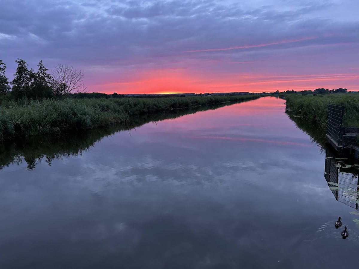 Jacques Rozendaal tweet media