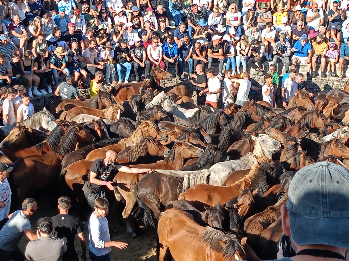 SomosDisque's tweet photo. Espectáculo e tradición na rapa das bestas de Sabucedo https://t.co/yuo2n95ydj https://t.co/PHkqpat8Ae