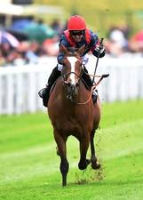 HORSERACING1002's tweet photo. TRIP TO PARIS🇮🇪2011
(CHAMPS ELYSEES - LA GRANDE ZOA BY FANTASTIC LIGHT)#TripToParis
B/ Paul Monaghan & T.J. Monaghan🇮🇪Feb 8, 2011, Gelding.
O/ La Grange Partnership 
T/ Edward A. L. Dunlop 
TATFOA $60,738
TAOCT $59,065 RNA 
TATHIT $32,621
27-6-3-3---$1,187,864
Ascot Gold Cup G1, Chester Cup, 
2nd Caufield Cup G1, Henry II S G3, 
3rd Goodwood Cup G2, Steventon S, Irish St Leger S G1.