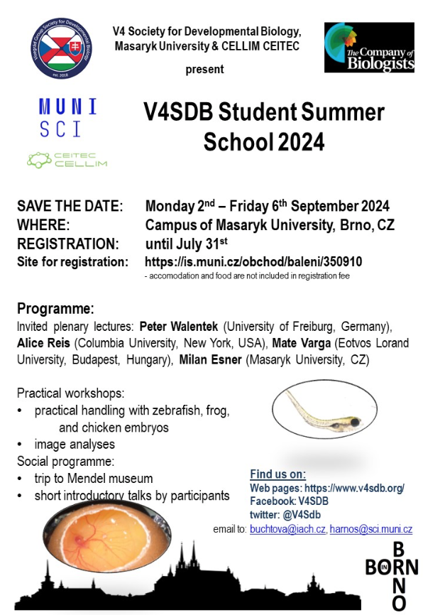 Jul '24: --- UPDATE --- UPDATE --- UPDATE ---
V4SDB Student Summer School
Practical, zebrafish, frog and chicken embryology!
(Monday 2nd - Friday 6th September 2024 in Brno, Czech Republic) - updated information in the newest version of the attached poster/flyer :