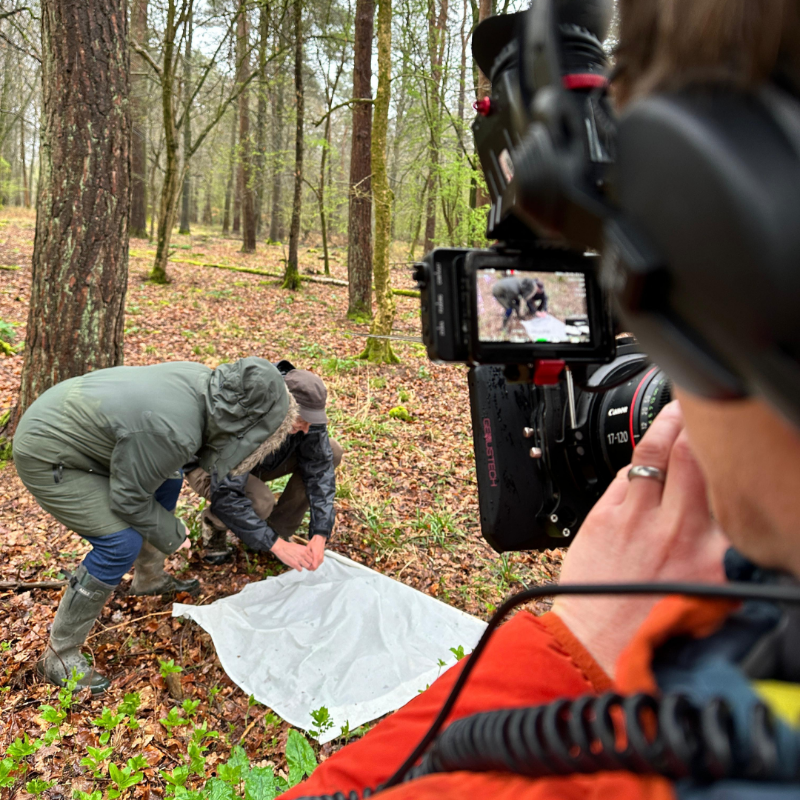 UKHSA's tweet photo. Do you know where ticks are found? 🤔🔎
Dr Jolyon Medlock, Head of Medical Entomology and Zoonoses Ecology, took @BBCOne’s Countryfile on a tick hunt as part of our tick surveillance scheme, helping to map out the different types of ticks we’re seeing in the UK and where.