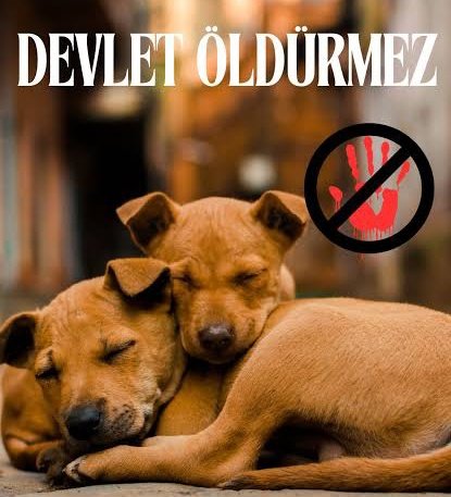 _cihhan_'s tweet photo. Ö L D Ü R E M E Z S İ N
Ö L D Ü R E M E Z S İ N
Ö L D Ü R E M E Z S İ N
Ö L D Ü R E M E Z S İ N
Ö L D Ü R E M E Z S İ N
Ö L D Ü R E M E Z S İ N
Ö L D Ü R E M E Z S İ N
Ö L D Ü R E M E Z S İ N
Ö L D Ü R E M E Z S İ N
#YasayıGeriÇek https://t.co/nf29jVK4Kn