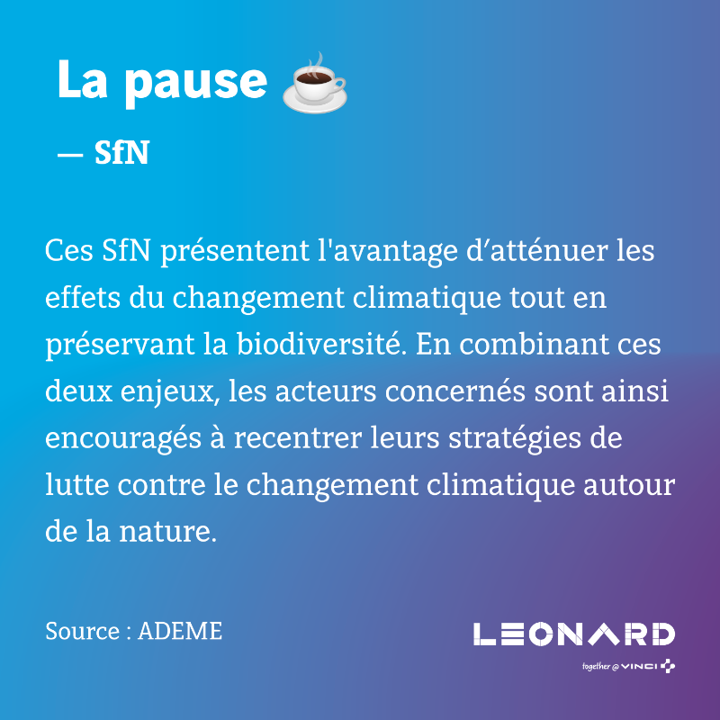 WeAreLeonard's tweet photo. 🌳 Connaissez-vous les SfN ?

La restauration des zones humides, la végétalisation des villes et la réhabilitation des mangroves sont des exemples de solutions fondées sur la nature (SfN) pour lutter contre les inondations, les canicules et l'élévation du niveau de la mer.