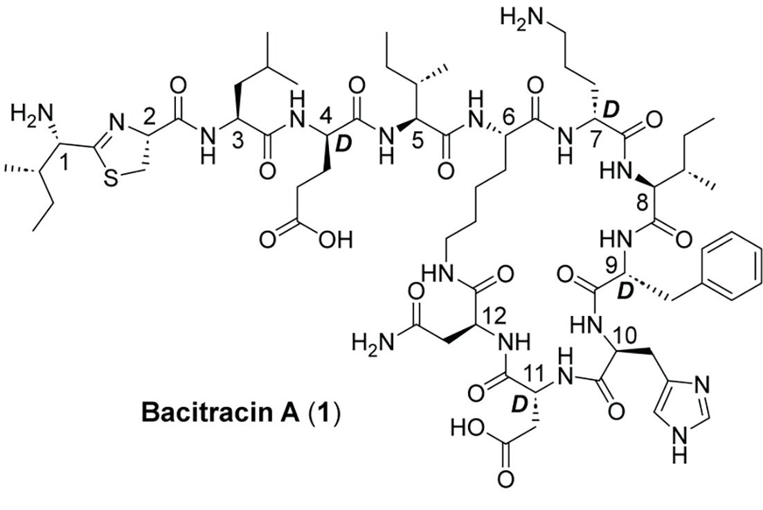 LED3 hub (inactive account) (@led3hub) on Twitter photo Can you improve an antibiotic that has been in clinical use for 75 years?
The group of <a href="/NatMart_Chembio/">Nathaniel Martin</a> of the <a href="/LED3hub/">LED3 hub (inactive account)</a> addressed this question by developing bacitracin analogs with enhanced activity against vancomycin-resistant enterococci (VRE).
pnas.org/doi/10.1073/pn⦠Can you improve an antibiotic that has been in clinical use for 75 years?
The group of <a href="/NatMart_Chembio/">Nathaniel Martin</a> of the <a href="/LED3hub/">LED3 hub (inactive account)</a> addressed this question by developing bacitracin analogs with enhanced activity against vancomycin-resistant enterococci (VRE).
pnas.org/doi/10.1073/pnβ¦