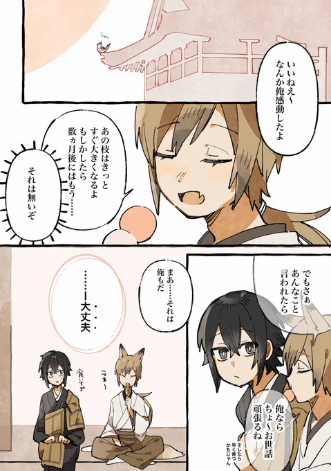 (6/6)
