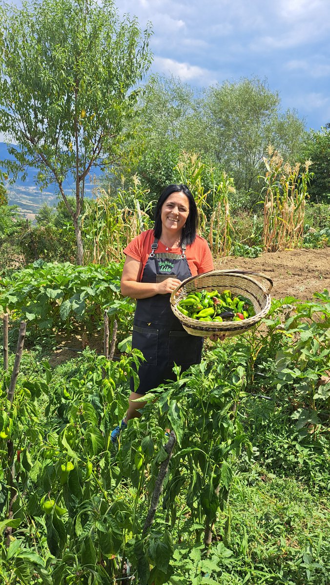 FAOSocioEcon's tweet photo. 🌿 Sustainable #Agritourism is unlocking new opportunities for #RuralDevelopment and #AgrifoodSystems #Transformation.
A recent dialogue hosted by @FAO highlights the power of collaboration, innovation and shared learning. #SFSMED
👉 https://t.co/v8bcLz8eTx https://t.co/auEs843MsK
