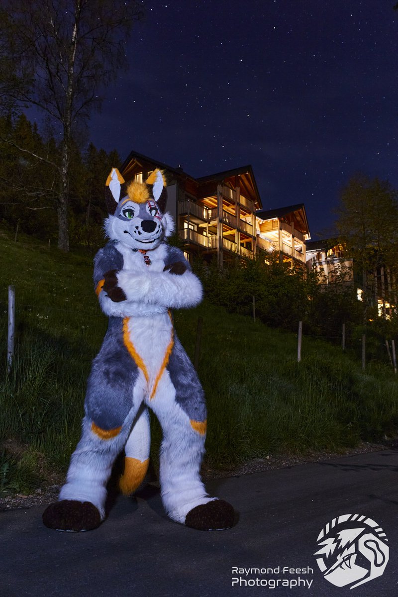 BazerVervagen's tweet photo. The weekend starts again^^ #FursuitFriday #bflc π·@raymondfeesh https://t.co/khf9Y1k30N