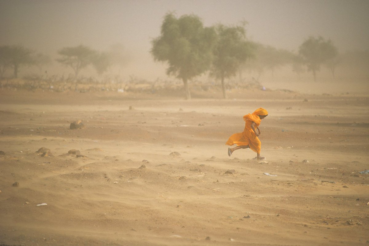 Today is the International Day on Combating Sand and Dust Storms. 

#DYK  that these storms can exacerbate respiratory diseases, kill crops and livestock, and increase #desertification?

#United4Land #SDSDay