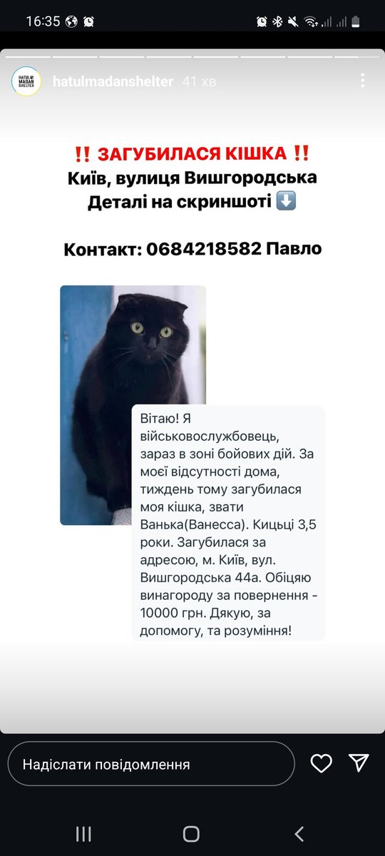 radiowestin's tweet image. Київ, загубилася кицька, поширте, будь ласка