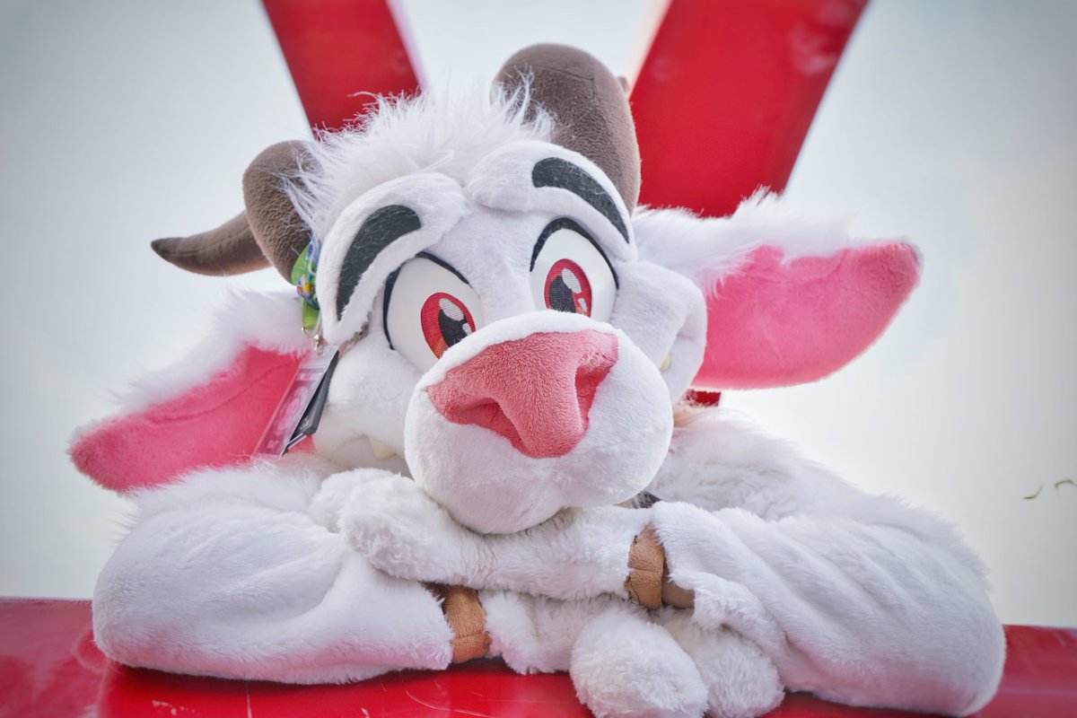 Whohoo, #FursuitFriday