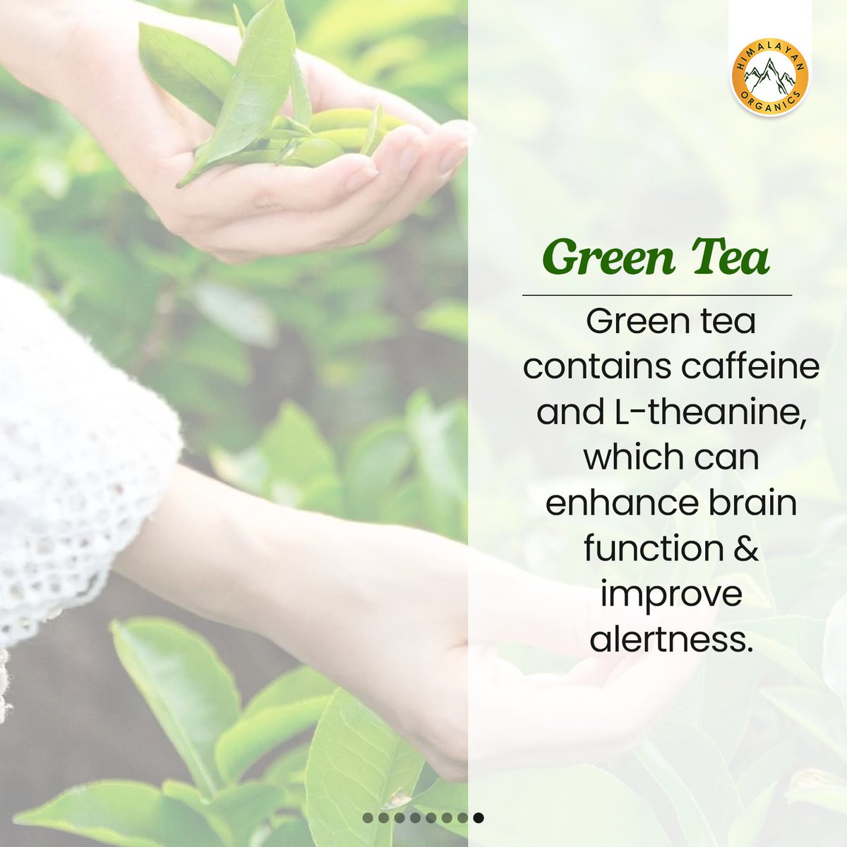 Himalayan Organics tweet media