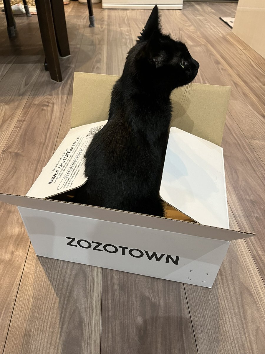 SCaroppu's tweet photo. 白箱と黒猫
 #ZOZOSALE箱CP https://t.co/c3l4qQloSg