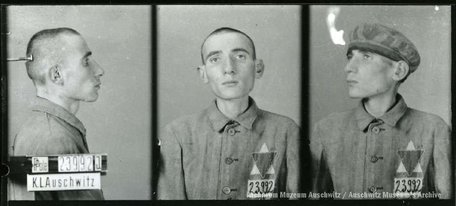 Auschwitz Memorial tweet media