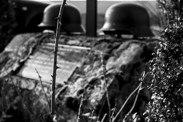 RegioneVeneto's tweet photo. E' stato approvato il bando per la concessione di contributi finalizzati alla promozione e valorizzazione del patrimonio storico e culturale dell’antifascismo, della resistenza e dei correlati eventi accaduti nel Veneto dal 1943 al 1948.
Per saperne di più https://t.co/4zzQWKmhI1 https://t.co/O5GS9fcuEA