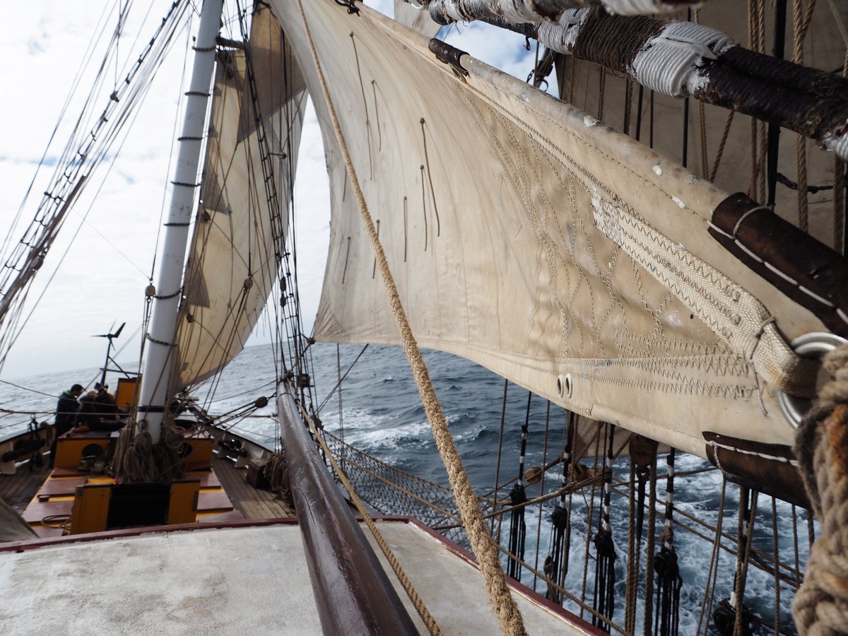 shippedbysail's tweet photo. The last date to order before our summer break is Friday, 19th July. 

Make sure to get your orders in before this date to guarantee delivery!

Our online store will be closed until the end of August, with deliveries resuming the week of the 9th of September.

Shipped by Sail https://t.co/Tcdr7aNWic