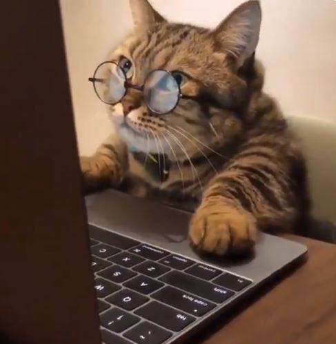 DYORCTO_'s tweet photo. Are you still doing your own research? 🧐 $DYOR https://t.co/Unv230EyQ2