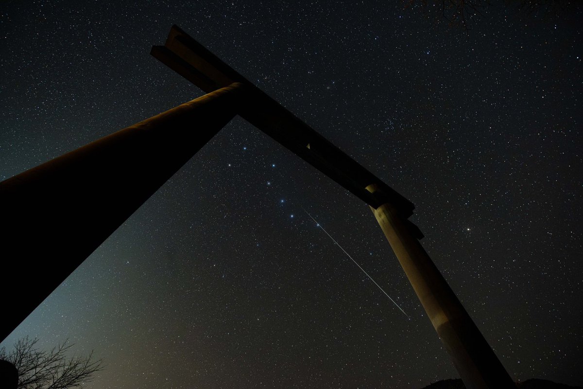 関岡 大晃 | Hiroaki Sekioka tweet media