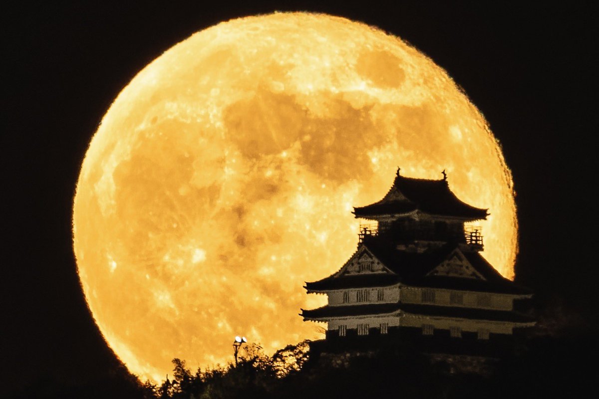 関岡 大晃 | Hiroaki Sekioka tweet media