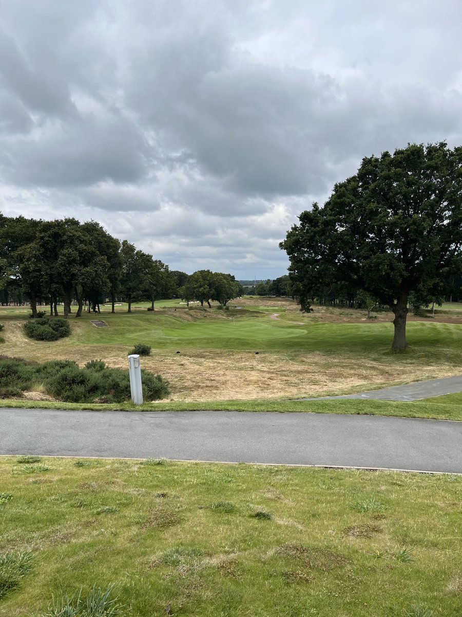 Today’s office view #nottooshabby