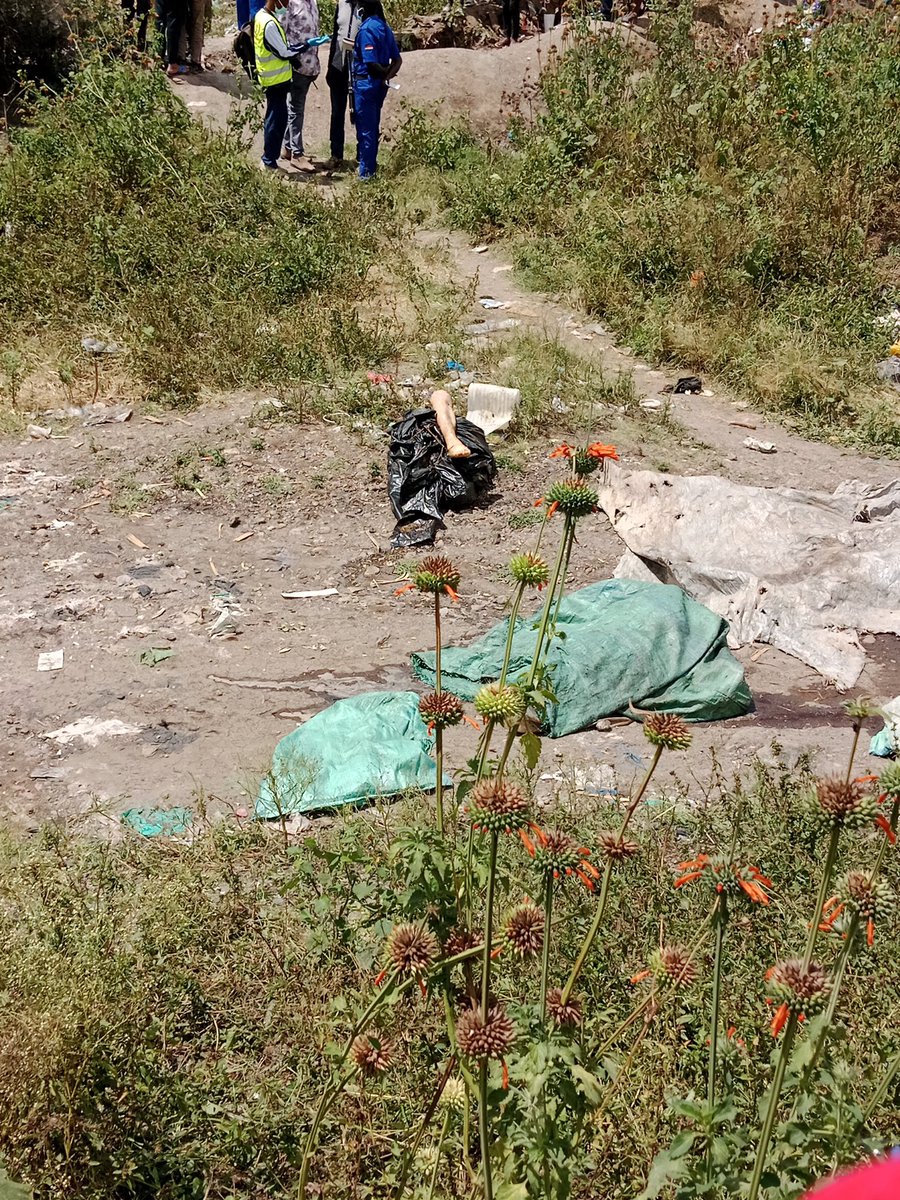 FGaitho237's tweet image. Numerous bodies have being found dumped at a quarry in Mukuru kwa Njenga. @HakiAfrica is on site. Pipeline quarry. 

The Githurai massacre perpetrated on June 25th in pursuit of the stolen parliamentary mace, was largely aided by @SafaricomPLC @PeterNdegwa_ @Sitoyo switched off…