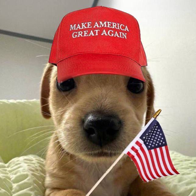 _BillyBSC's tweet photo. "From paws to profits, our pup's got the right idea! 🐾💸 Make your crypto great again with $BILLY on BSC! #Crypto #BillyBSC #MemeCoin @binance @realDonaldTrump @BNBCHAIN https://t.co/QG1s827lzf