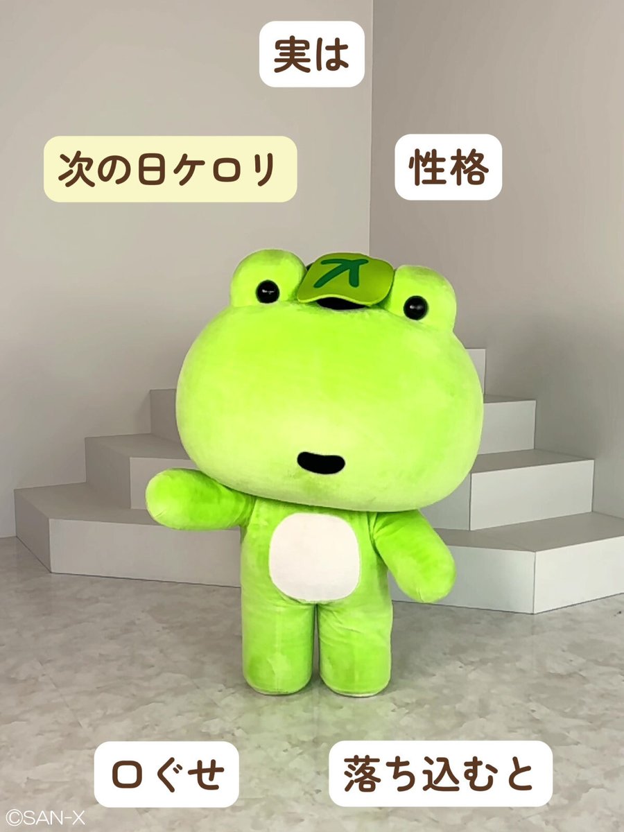 サンエックス公式TikTok更新🍀／ 次の日ケロリの動画が公開されました