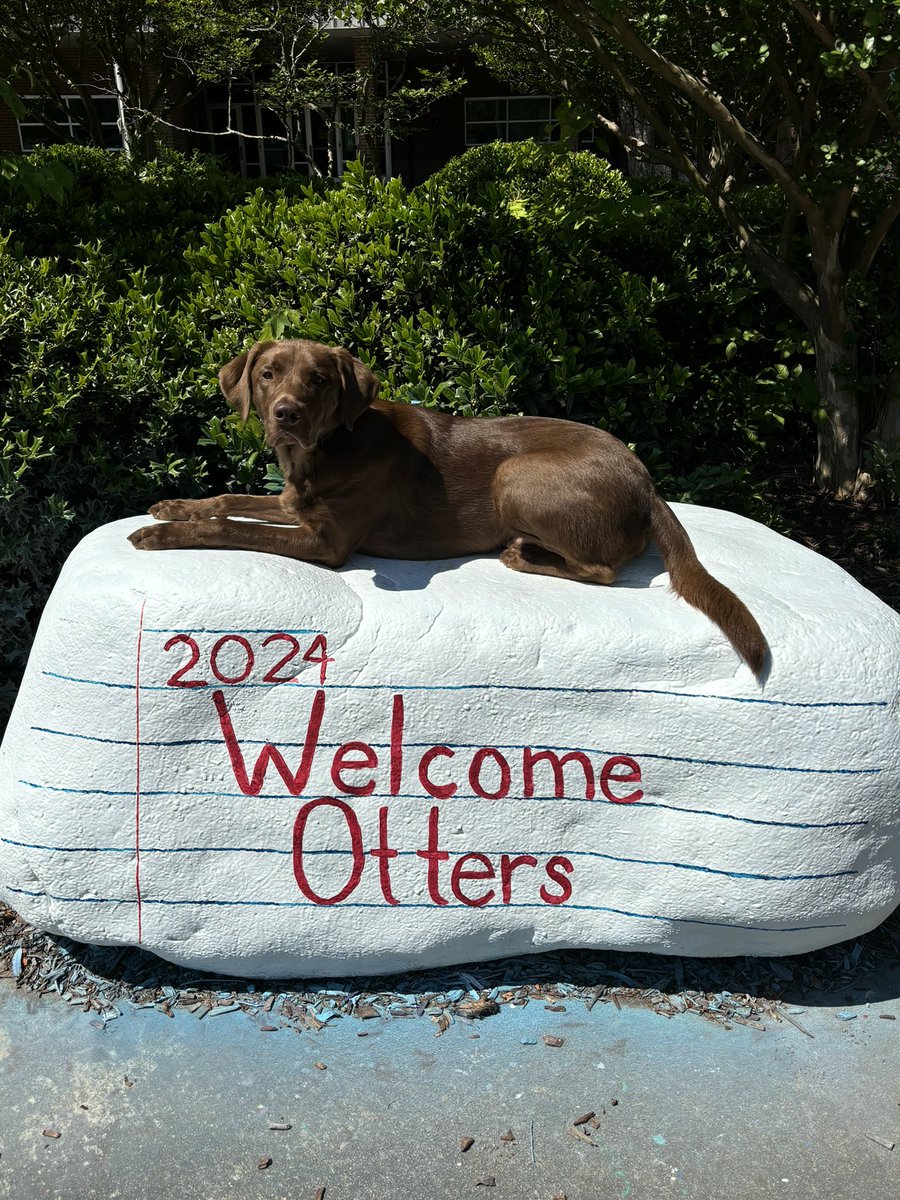 oakgrovees's tweet photo. Our therapy dog Hank is ready to start the new year off right. #itsbetteratthegrove
 Welcoming the new otters with Ollie https://t.co/dzcb10GHc9