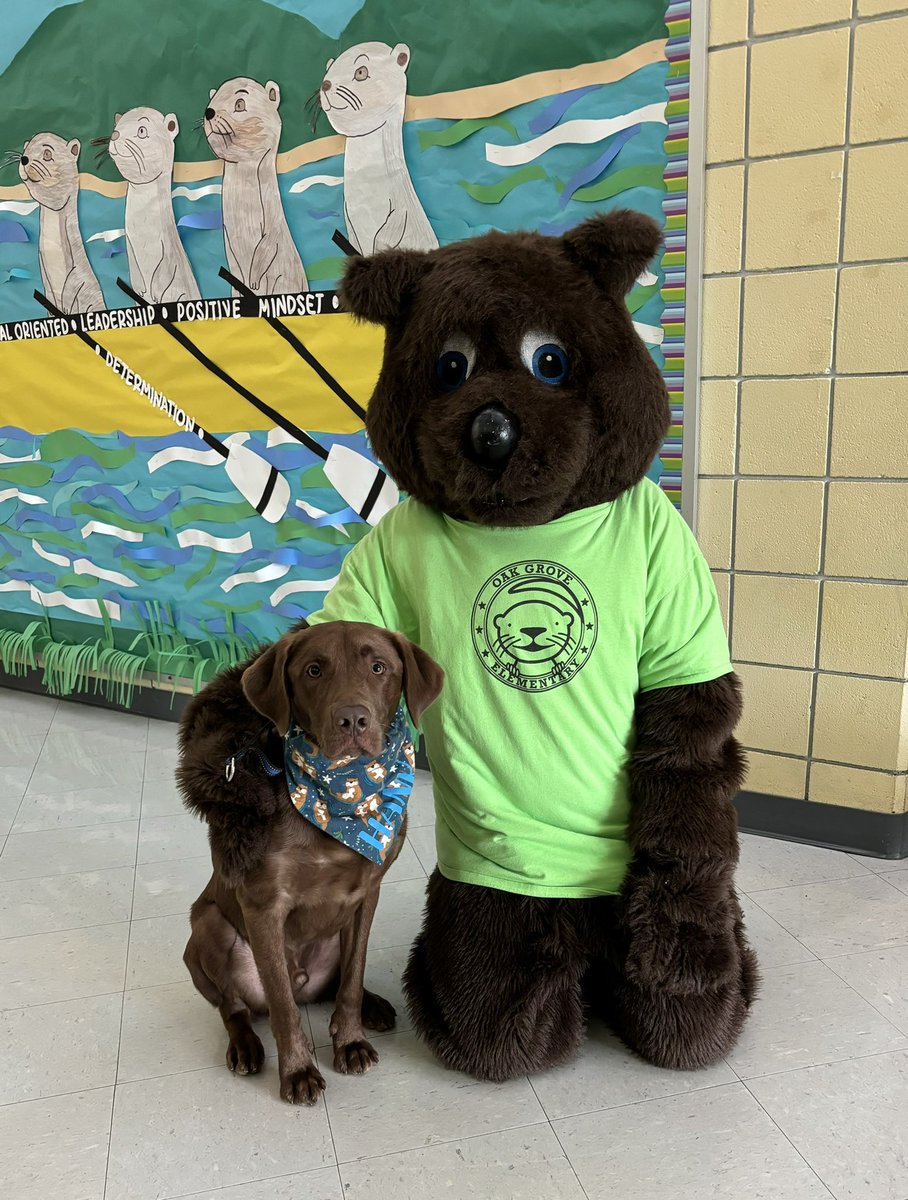 oakgrovees's tweet photo. Our therapy dog Hank is ready to start the new year off right. #itsbetteratthegrove
 Welcoming the new otters with Ollie https://t.co/dzcb10GHc9