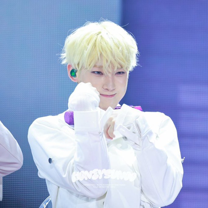 nocontextsunoo's tweet photo. LITTLE DONUT https://t.co/akobboKFxh