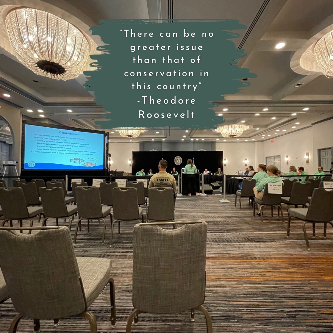 allflaorg's tweet photo. We’re coming off the most recent @myfwc meetings - decisions get made by those who show up. https://t.co/8P9aKm2vcB