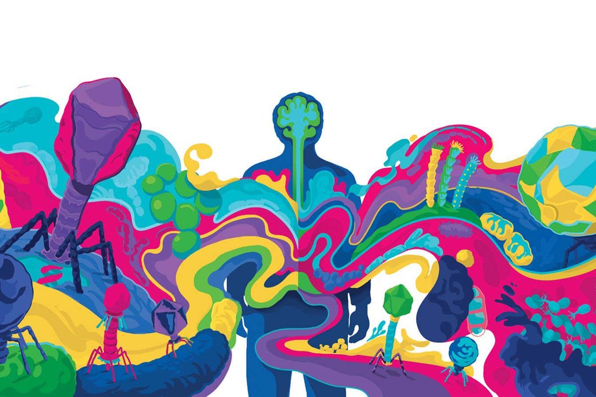TheQuadram's tweet photo. “What is interesting about bacteriophages and other viruses in the gut is that every person has their own unique set, with almost no overlap between different people,” says  @EvelienAdri in the latest edition of New Scientist (£). https://t.co/lsHPDDYmnZ https://t.co/RwEQQhQZYi
