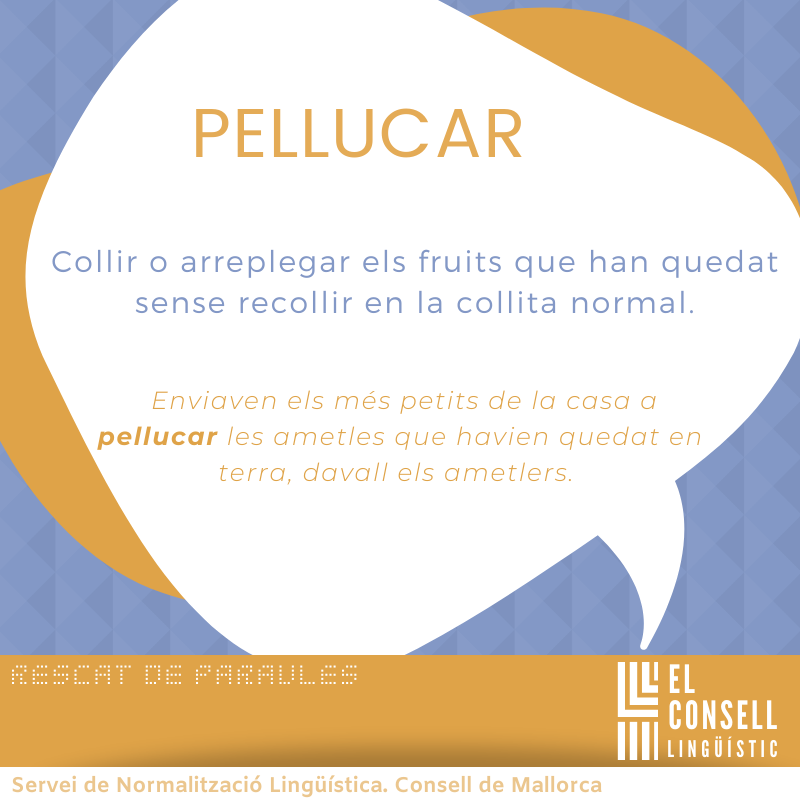 llenguamallorca's tweet photo. 📢«El Consell lingüístic»
☑ Rescat de paraules
☑ Pellucar
#ConsellLingüístic https://t.co/FPXCSe5C1t