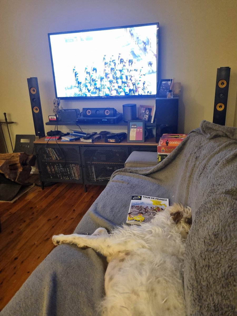 scosh1's tweet photo. #CouchPeloton #tourdogs looking after this dog for a few days https://t.co/XdllrQezL5