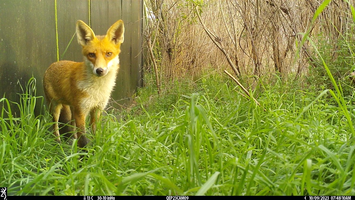 Kate E. Jones 🦇 tweet media