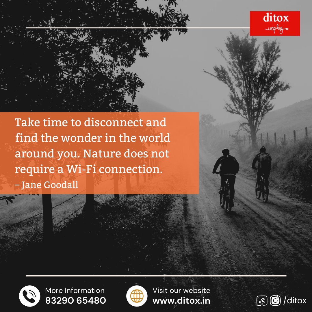 ditox_unplug's tweet photo. 🌟 Start your digital detox journey with us!

You can also check your digital usage
https://t.co/ER38CntxPe

More Information: 83290 65480

https://t.co/rVPCzTLGhu

#DigitalDetox #UnplugToRecharge #Unplug #DisconnectToReconnect #TechFree #ScreenFree #DigitalWellness https://t.co/1AxaI7T1mQ