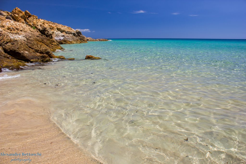 ISNSC 2024 tweet media