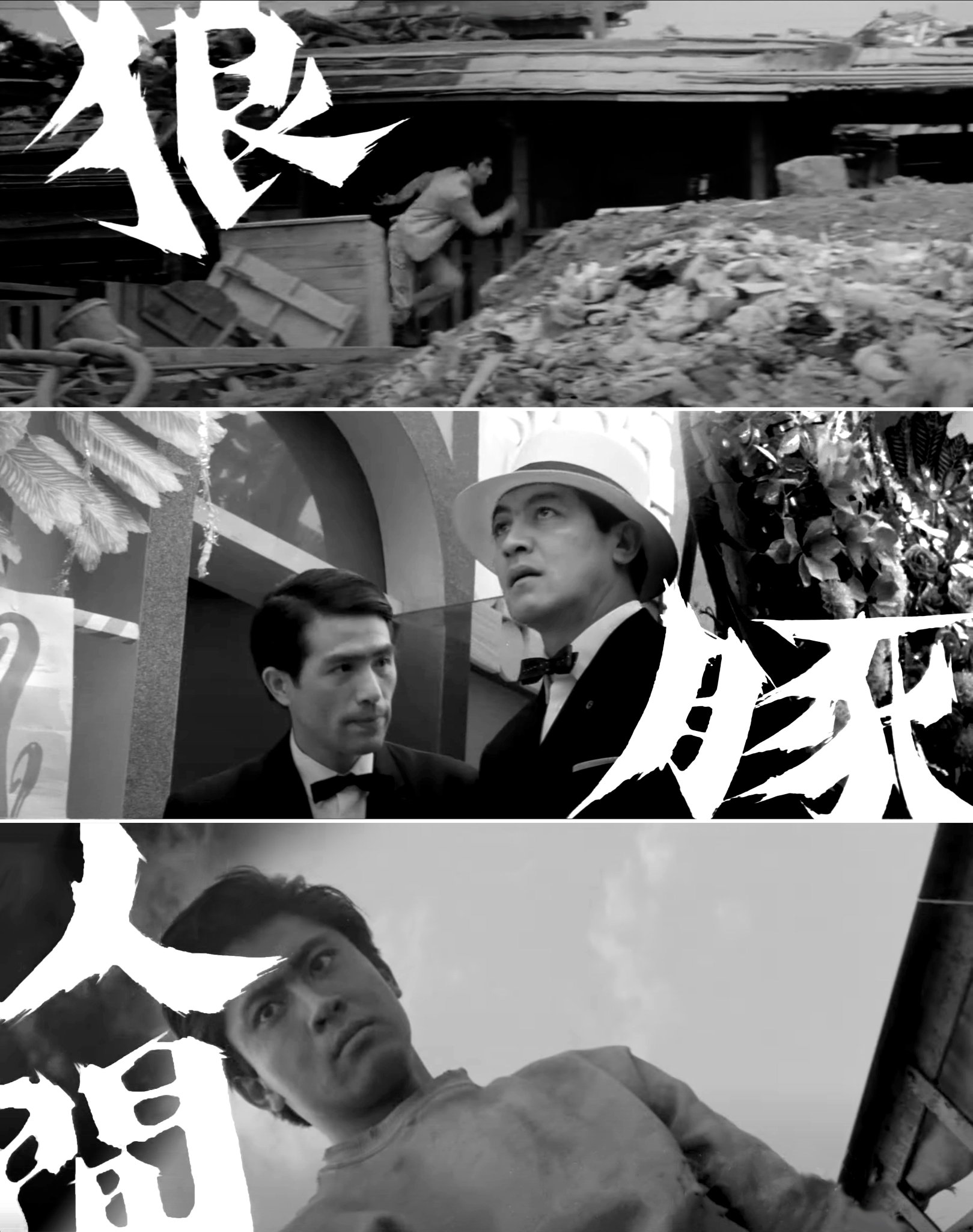 K643 狼と豚と人間('64東映) DVD 高倉健 全国劇場公開作品 Amazon.co.jp: 狼と豚と人間 [DVD] : 高倉健, 北大路欣也, 三國