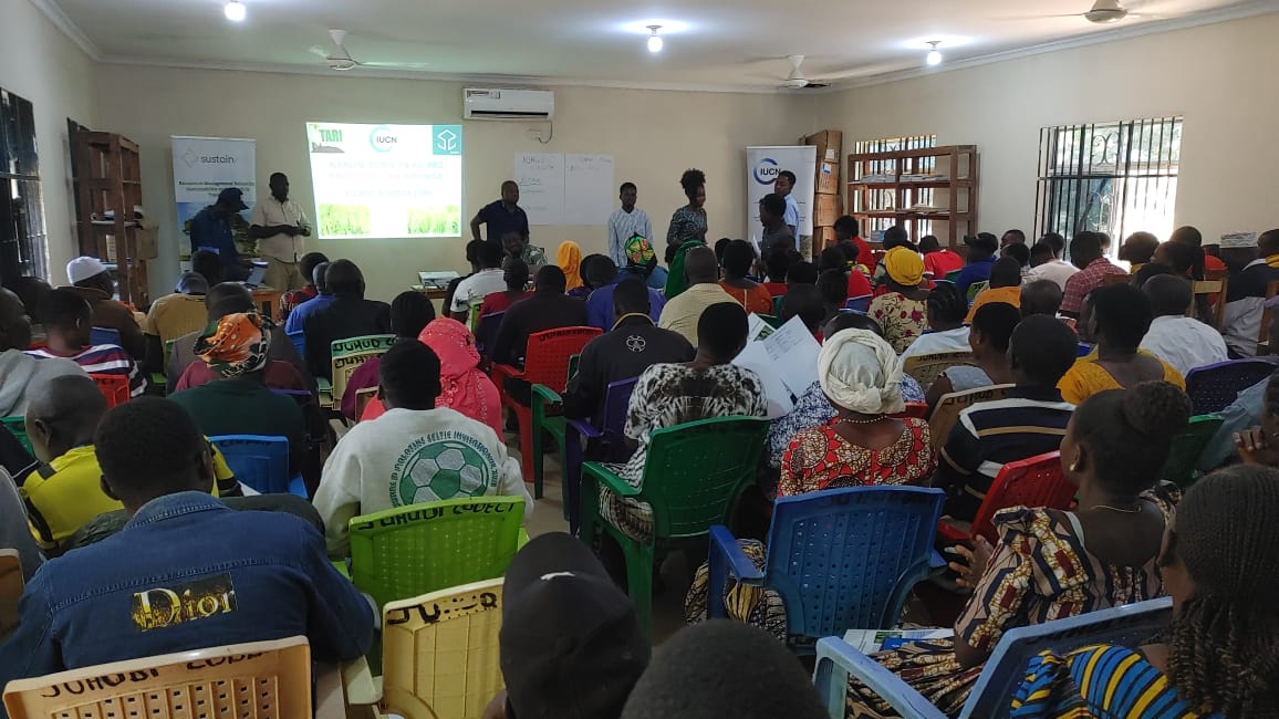 IUCN Tanzania (@iucntanzania) on Twitter photo 🌾In Morogoro, our #SUSTAINEco Project officers are conducting a training of farmers and agriculture extension officers on the Modified System for Rice Intensification (SRI) in Njage village in Mlimba DC in collaboration with <a href="/TanzaniaTari/">TARI Tanzania official page</a> Uyole & Ifakara.
#Agriculture @SAGCOT 🌾In Morogoro, our #SUSTAINEco Project officers are conducting a training of farmers and agriculture extension officers on the Modified System for Rice Intensification (SRI) in Njage village in Mlimba DC in collaboration with <a href="/TanzaniaTari/">TARI Tanzania official page</a> Uyole & Ifakara.
#Agriculture @SAGCOT